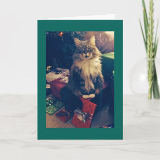 Christmas Gifts and Cat Holiday Card