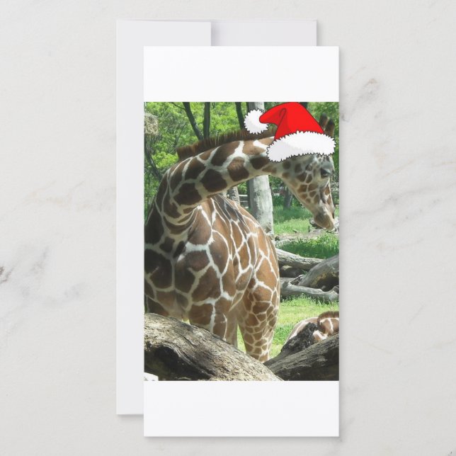 Christmas Giraffe Holiday Card (Front)