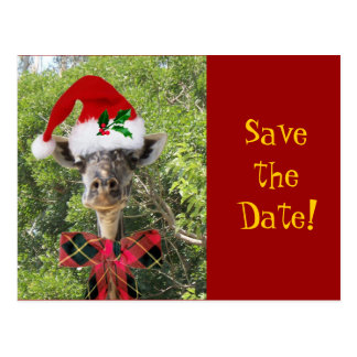 christmas party save the date postcards zazzle christmas party save the date postcards zazzle