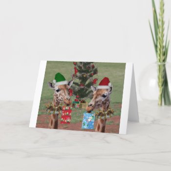 Christmas Giraffes Holiday Card by JennyBrice at Zazzle
