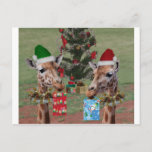 Christmas Giraffes Holiday Postcard at Zazzle