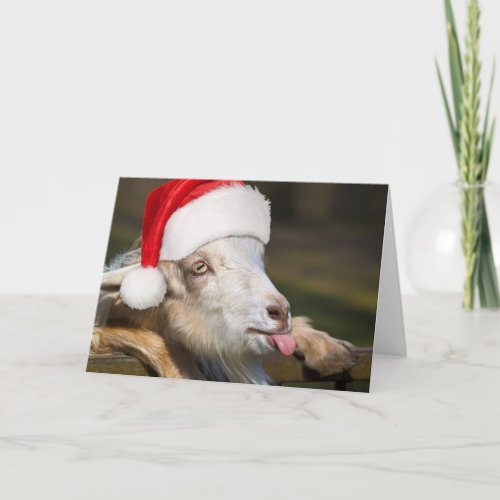 Christmas Goat Card