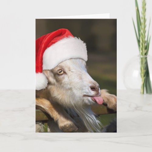 Christmas Goat Card