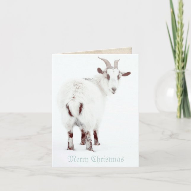 Christmas Goats Holiday Card (Front)