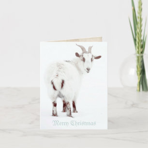 Christmas Goats Holiday Card