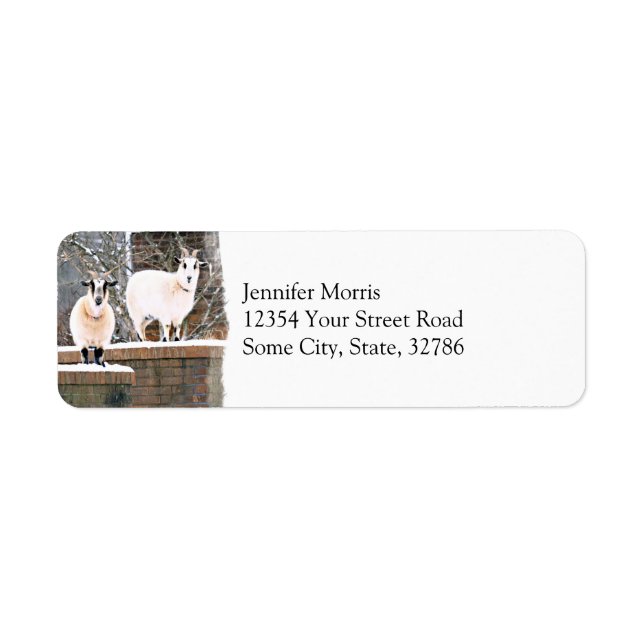 Christmas Goats Label (Front)