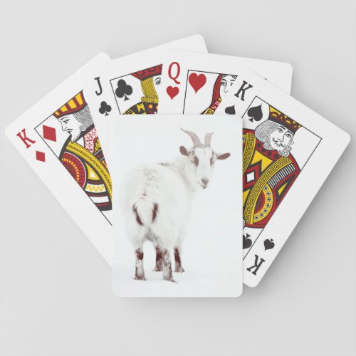 Christmas Goats Poker Cards