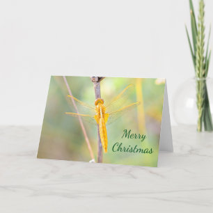 Christmas Gold and Yellow Colored Dragonfly Holiday Card