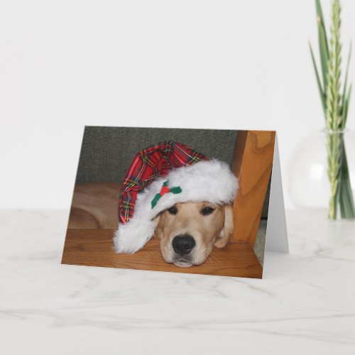 Christmas Golden Puppy in Hat Holiday Card