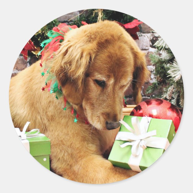 Christmas - Golden Retriever - Addison Classic Round Sticker (Front)
