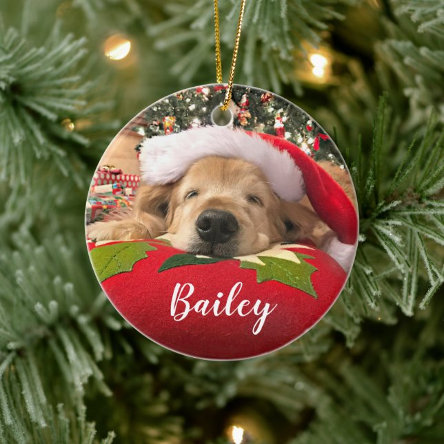 Golden Retriever Puppy Dog With Gift And Santa Hat. Isolated Stock