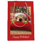 Christmas Golden Retriever Dog Asleep Under Tree