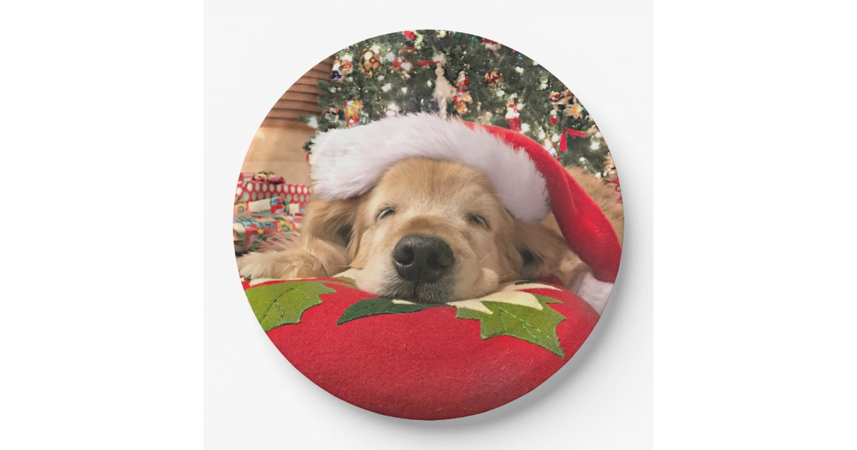 Christmas Golden Retriever Dog Asleep Under Tree Paper Plate