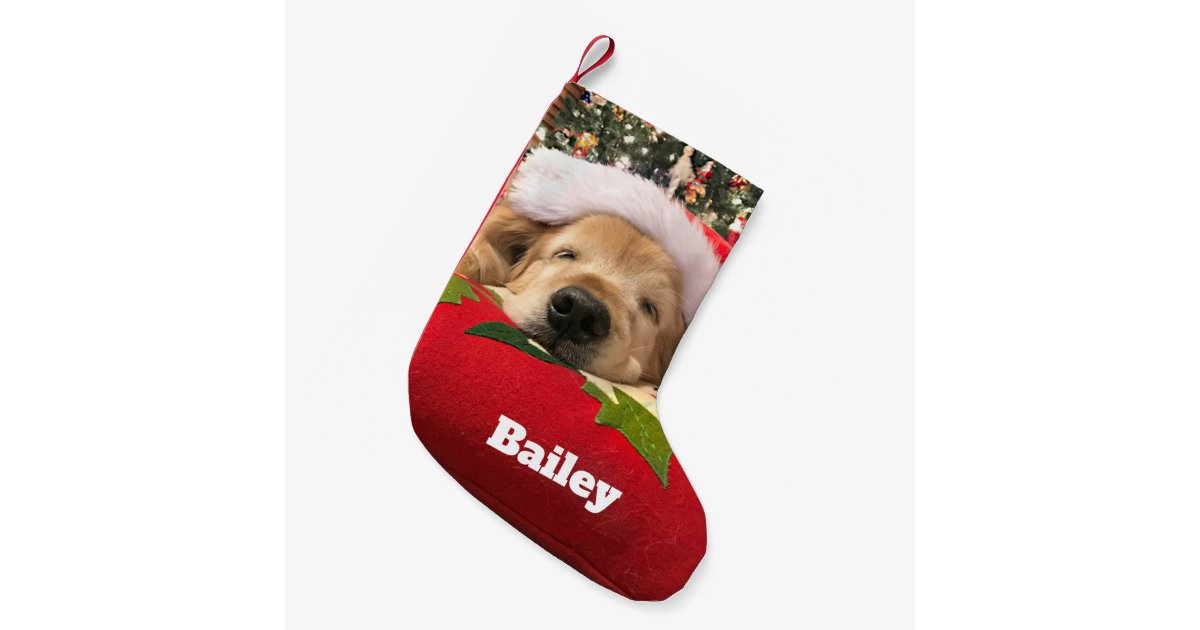 Christmas Golden Retriever Dog Asleep Under Tree Small