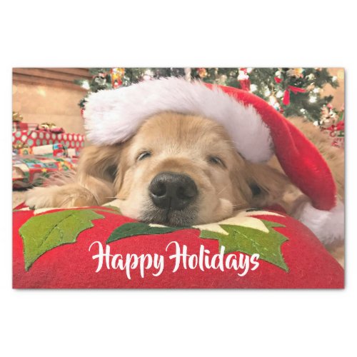 Christmas Golden Retriever Dog Asleep Under Tree Tissue Paper