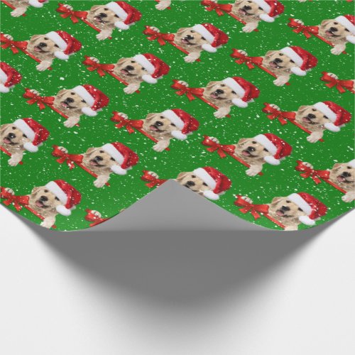 Christmas Golden Retriever on green Wrapping Paper