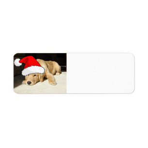 Christmas Golden Retriever Pup Label