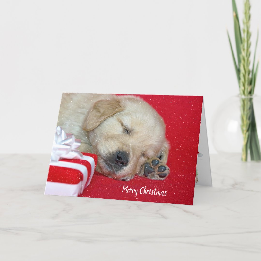 Christmas Golden Retriever Puppy Holiday Card | Zazzle
