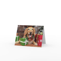 Little Golden Christmas card