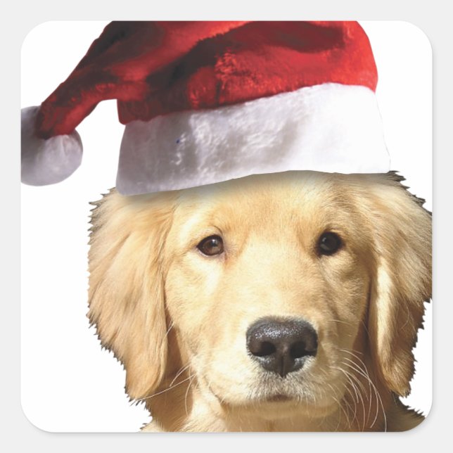Christmas Golden Retriever Square Sticker (Front)