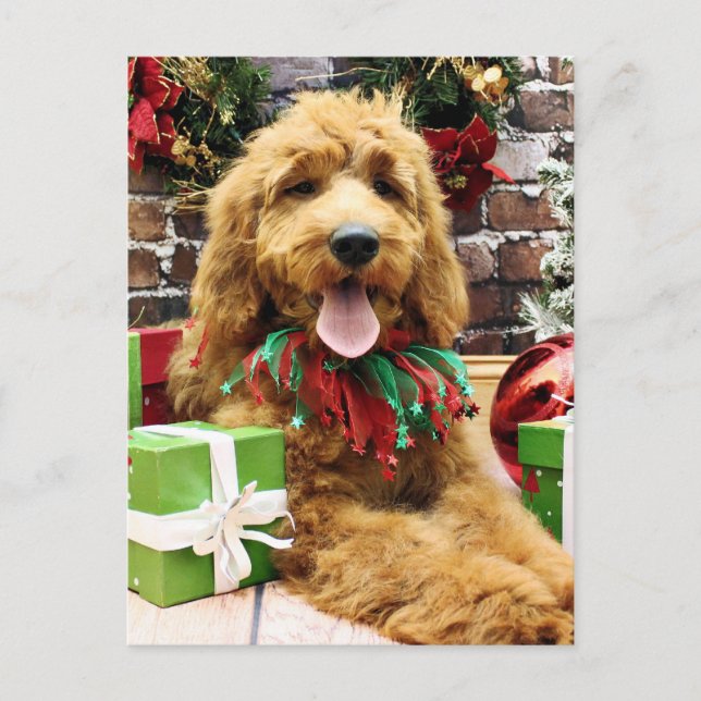 Christmas - GoldenDoodle - Claire Holiday Postcard (Front)