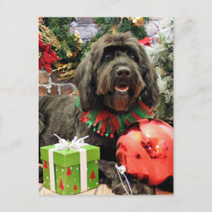 Christmas - GoldenDoodle - Dutch Holiday Postcard