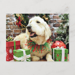 Christmas - GoldenDoodle - Lacey Holiday Postcard