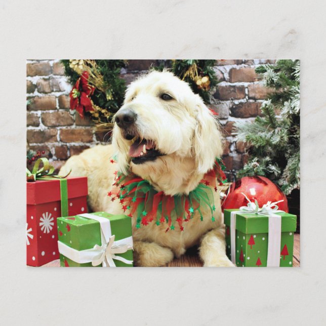 Christmas - GoldenDoodle - Lacey Holiday Postcard (Front)