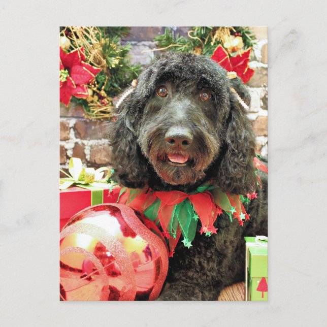 Christmas - GoldenDoodle - Pearl Jam Holiday Postcard (Front)