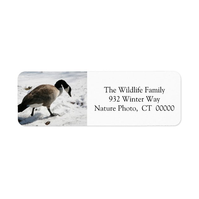 Christmas Goose Holiday Return Address Stickers (Front)