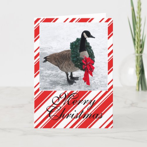 Christmas Goose with Wreath Holiday Card
