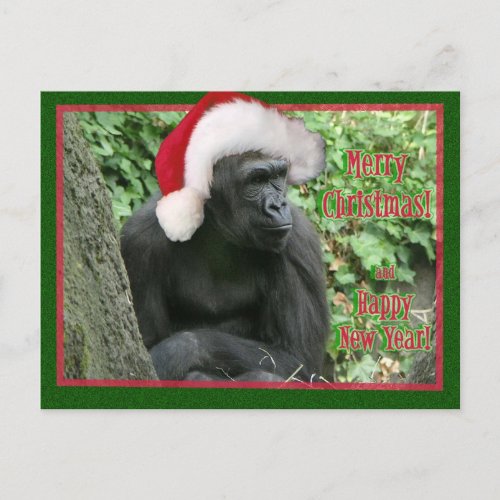 Christmas Gorilla Holiday Postcard