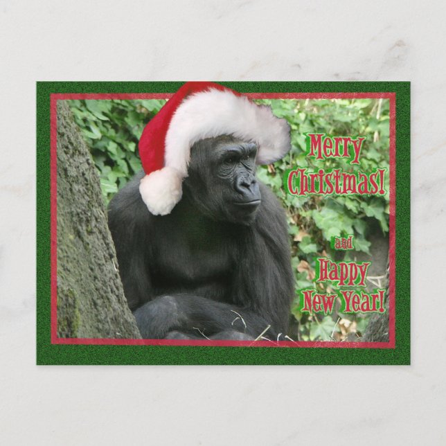 Christmas Gorilla Holiday Postcard (Front)