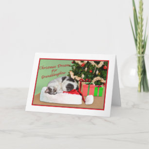 Christmas, Granddaughter, Sleeping Cat, Santa Hat Holiday Card