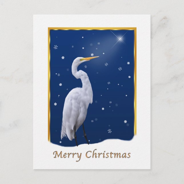 Christmas, Great Egret Bird, Religious Holiday Postcard (Front)