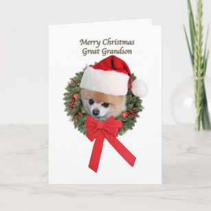 Christmas, Great Grandson, Pomeranian Dog Holiday Card