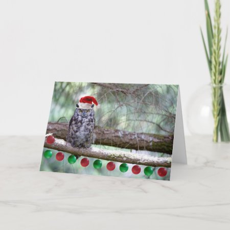 Christmas Great Horned Owl Holiday Card