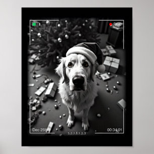 Christmas Great Pyrenees Caught On Camera Poster