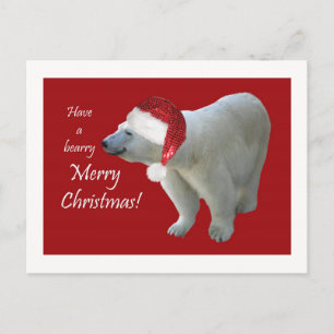 Christmas Greeting Card Polar Bear Santa