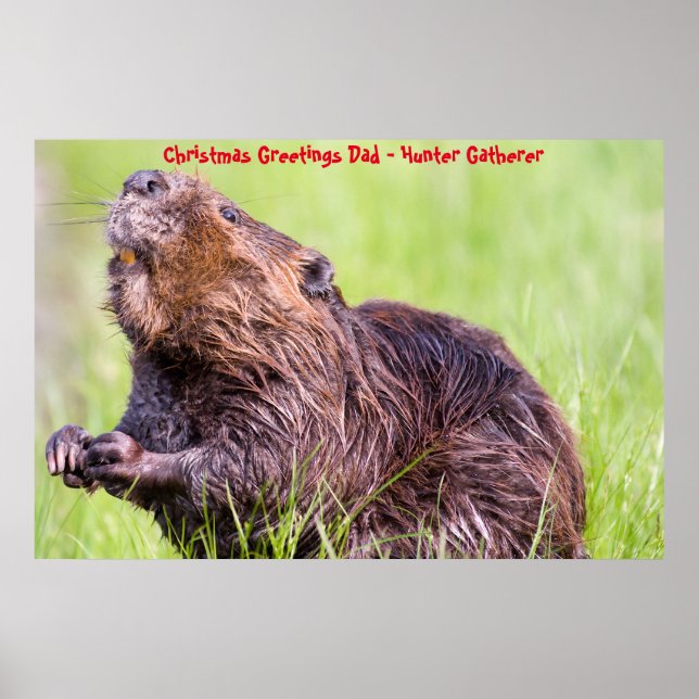 Christmas Greetings Dad Hunter Gatherer Poster (Front)