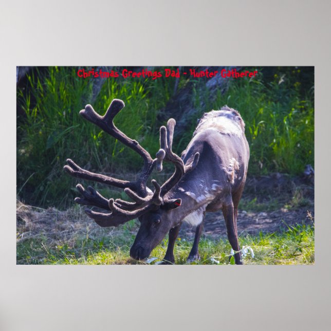 Christmas Greetings Dad Hunter Gatherer Poster (Front)