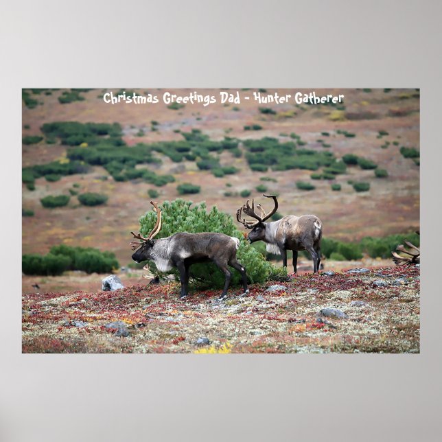 Christmas Greetings Dad Hunter Gatherer Poster (Front)
