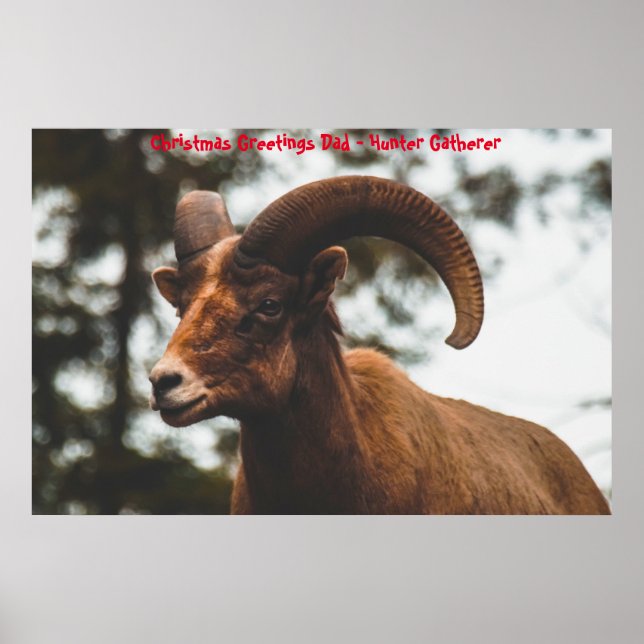 Christmas Greetings Dad Hunter Gatherer Poster (Front)
