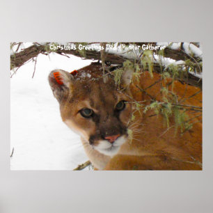 Christmas Greetings Dad Hunter Gatherer Poster