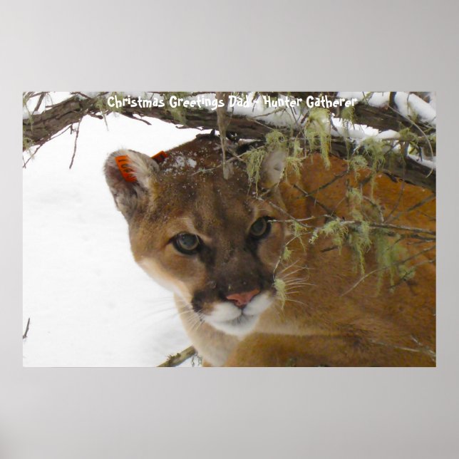 Christmas Greetings Dad Hunter Gatherer Poster (Front)