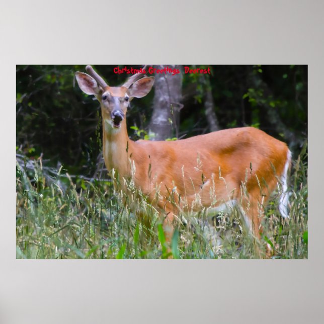 Christmas Greetings  Deerest Poster (Front)