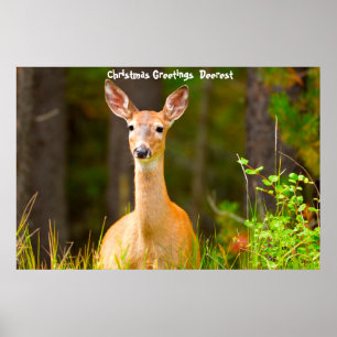Christmas Greetings  Deerest Poster