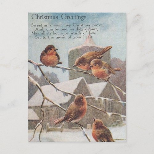 CHRISTMAS GREETINGS five robins on branches Postcard