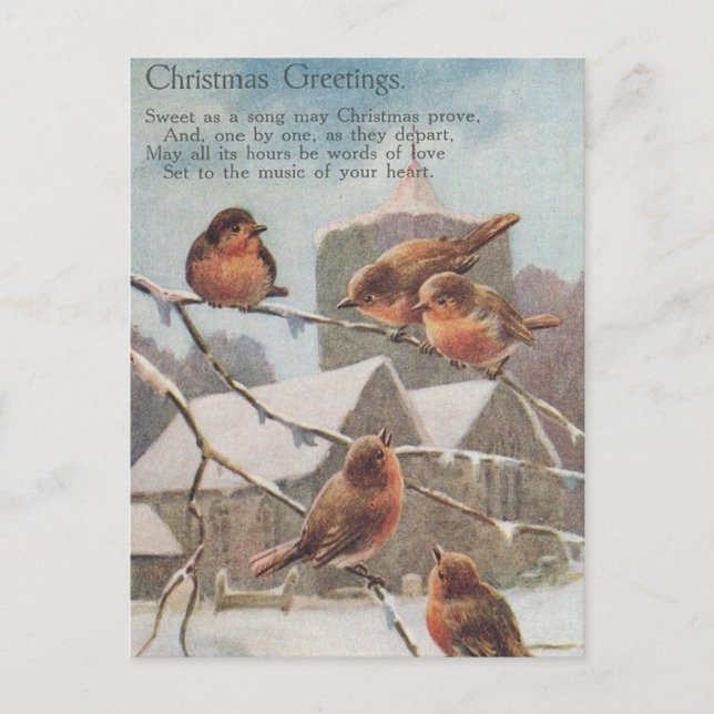 CHRISTMAS GREETINGS  five robins on branches Postcard (Front)