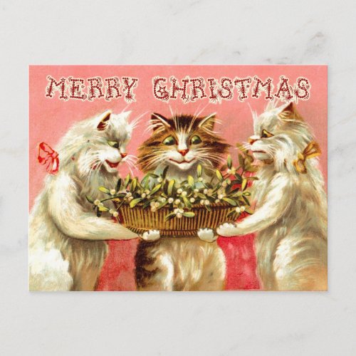 Christmas Greetings from Cats with Mistletoe Holiday Postcard